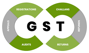 Income Tax and GST Consultation